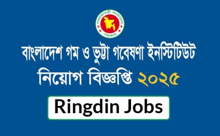 বাংলাদেশ গম ও ভুট্টা গবেষণা ইনস্টিটিউটে নিয়োগ বিজ্ঞপ্তি ২০২৫