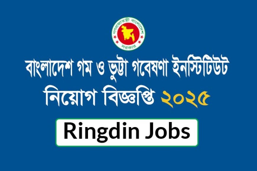 বাংলাদেশ গম ও ভুট্টা গবেষণা ইনস্টিটিউটে নিয়োগ বিজ্ঞপ্তি ২০২৫