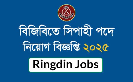 বিজিবি নিয়োগ বিজ্ঞপ্তি ২০২৫ | BGB Job Circular 2025