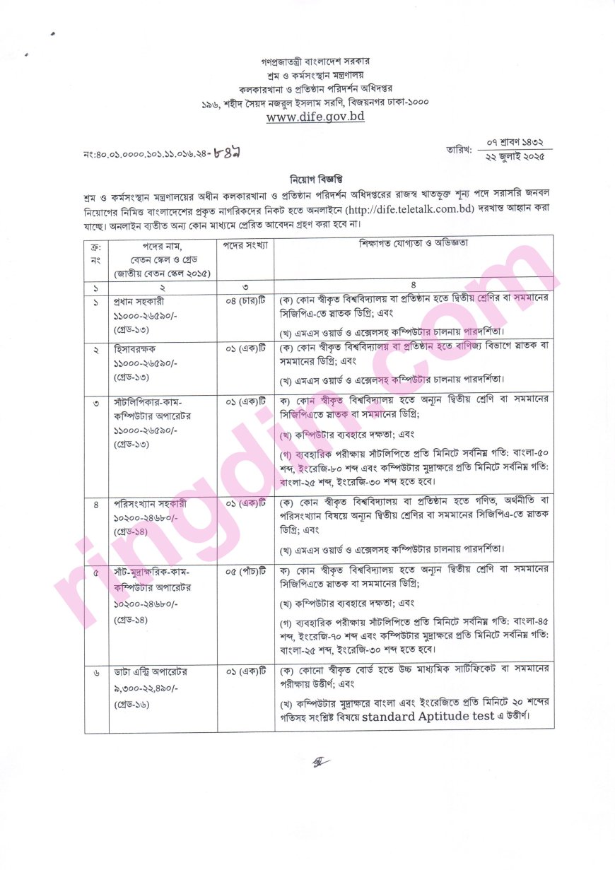 dife job circular 2025