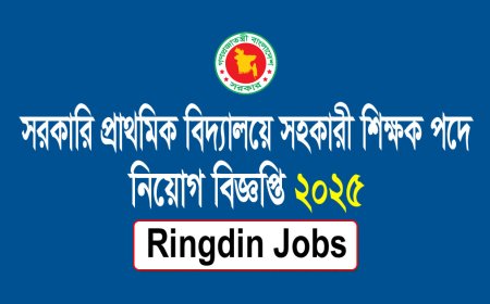 Primary Assistant Teacher Job Circular 2025 | DPE নতুন নিয়োগ বিজ্ঞপ্তি