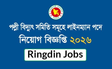 পল্লী বিদ্যুৎ সমিতিসমূহে শিক্ষানবিশ লাইনম্যান পদে নিয়োগ বিজ্ঞপ্তি ২০২৬